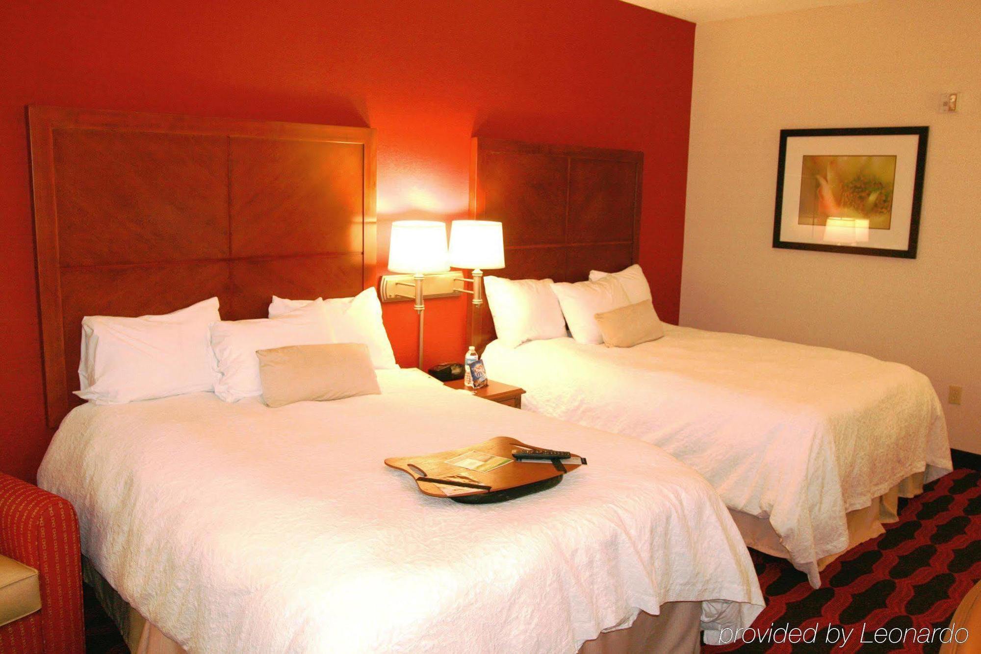 Hampton Inn & Suites East Lansing Okemos Ruang foto
